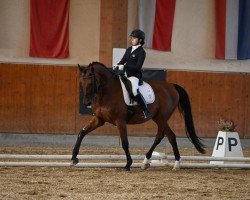 dressage horse Vemmetofte Roscoe (Danish Warmblood, 2006, from Glock's Romanov)