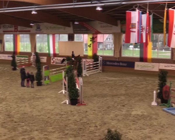 Rosendorf Classics 2016 Seppenrade