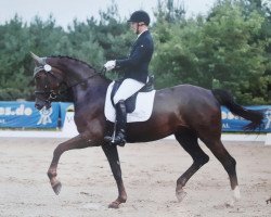 dressage horse Fire And Flame (Oldenburger, 2010, from Fidertanz)