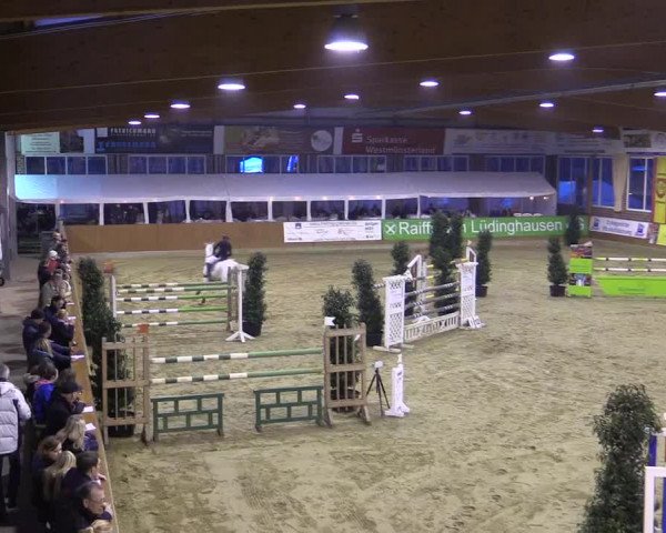Rosendorf Classics 2016 Seppenrade