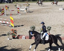 broodmare Shelby 10 (Trakehner, 2006, from Kapriolan F)