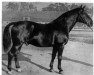 stallion Flotow (Hanoverian, 1925, from Flavius)