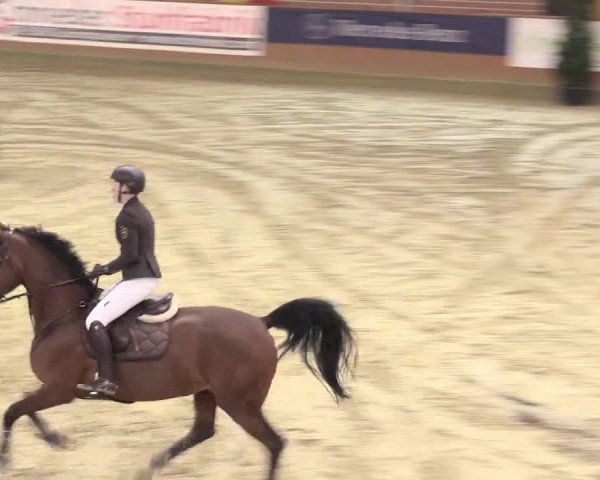 Rosendorf Classics 2016 Seppenrade