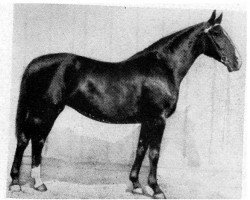 broodmare Flirtlore I (Hanoverian, 1924, from Flirt)