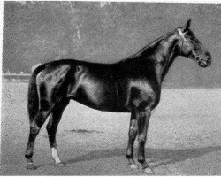 broodmare Flugausruestu (Hanoverian, 1935, from Flugfeuer II)