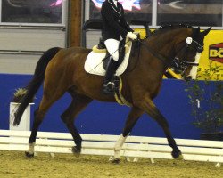 dressage horse Ehrenfels 4 (Westphalian, 1998, from Ehrentusch)