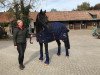 dressage horse Donauprinz 22 (Hanoverian, 2015, from De Niro)