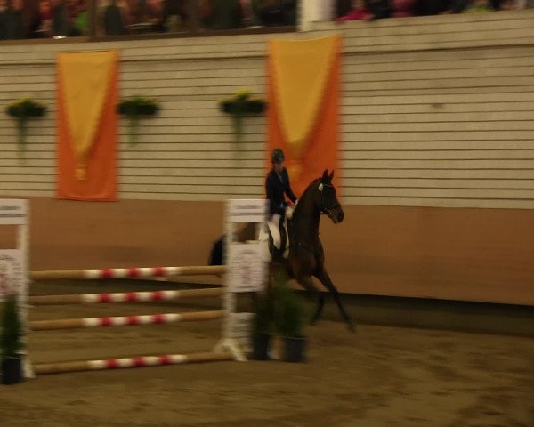 Reitturnier Hellefeld 2016