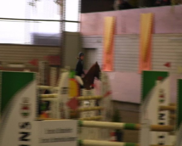 Reitturnier Hellefeld 2016
