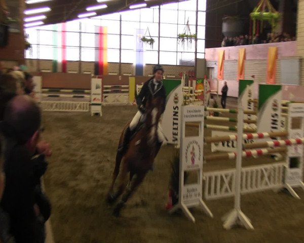 Reitturnier Hellefeld 2016