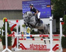 jumper Pep For Air (Hanoverian, 2013, from Perigueux)