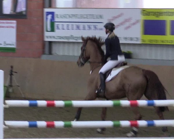 Hallenspringturnier Altenberge 2016