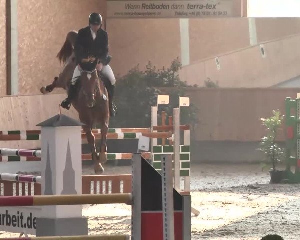 Reitturnier Illertissen 2016