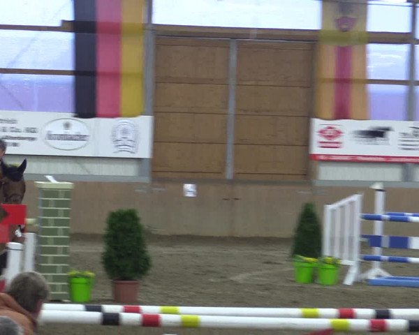 Hallenspringturnier Altenberge 2016
