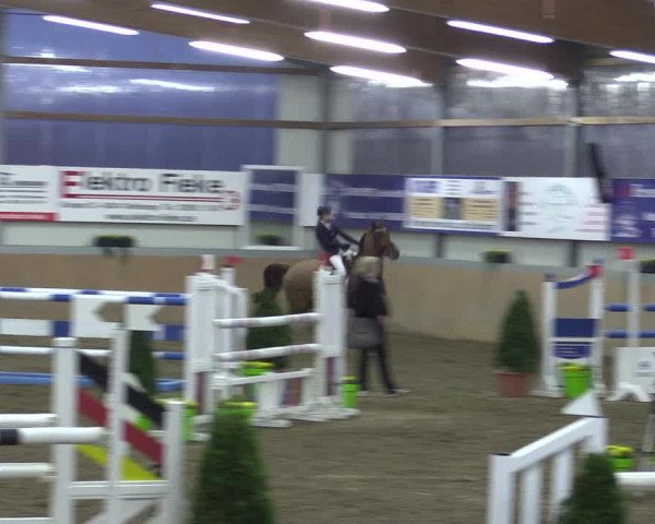 Hallenspringturnier Altenberge 2016
