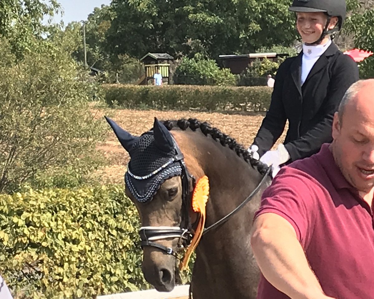 Dressurpferd Donizetti 47 (Deutsches Reitpony, 2009, von Dance Star AT NRW)