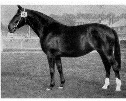 broodmare Feines Kind (Hanoverian, 1932, from Feiner Kerl)