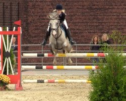 Springpferd Kastanienhof Gold Rosi (Deutsches Reitpony, 2011, von Maerchenprinz II GH)