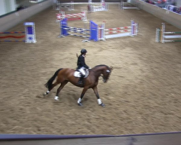 Hallen-Reitturnier Iserlohn 2016