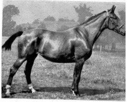 broodmare Haltbarkeit (Hanoverian, 1934, from Halt)