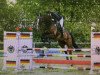 jumper Cantaro 56 (German Sport Horse, 2004, from Capone II)