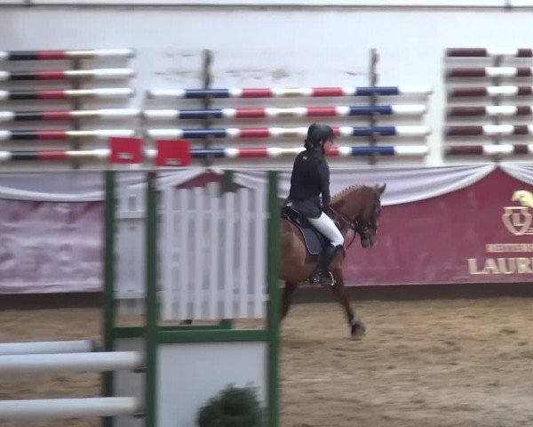Springturnier Eicherloh - Laurent 2016