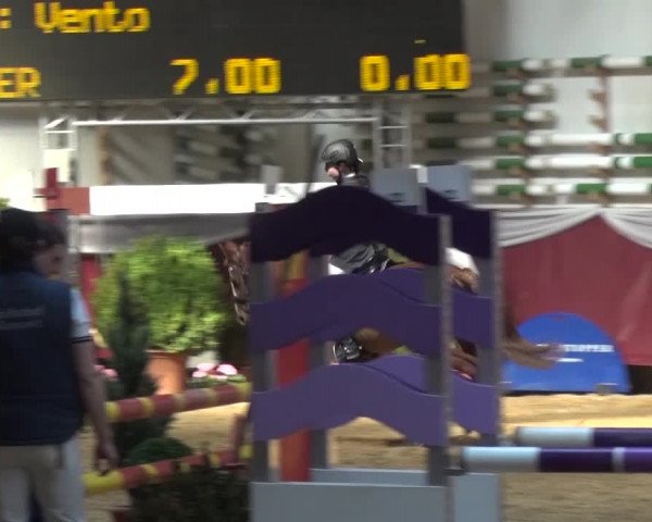 Springturnier Eicherloh - Laurent 2016