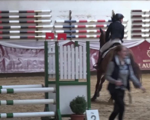 Springturnier Eicherloh - Laurent 2016