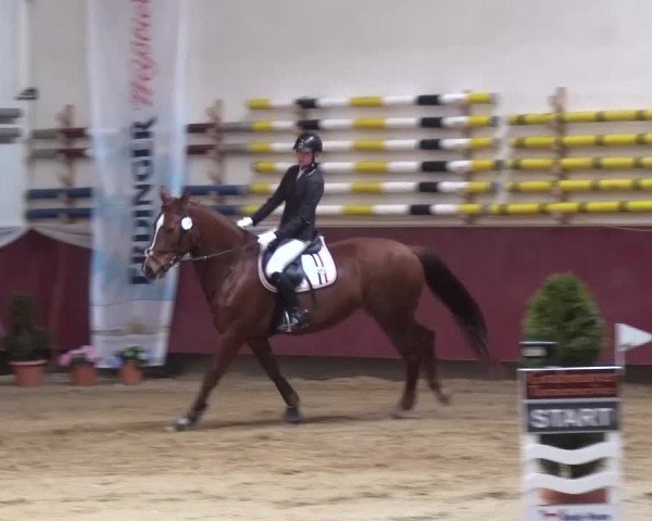 Springturnier Eicherloh - Laurent 2016