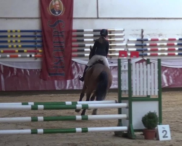 Springturnier Eicherloh - Laurent 2016