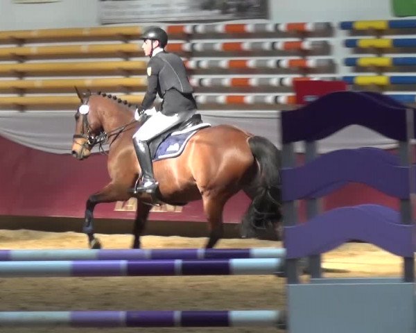 Springturnier Eicherloh - Laurent 2016