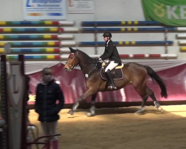 Springturnier Eicherloh - Laurent 2016