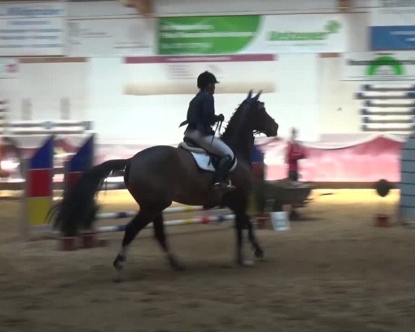 Springturnier Eicherloh - Laurent 2016