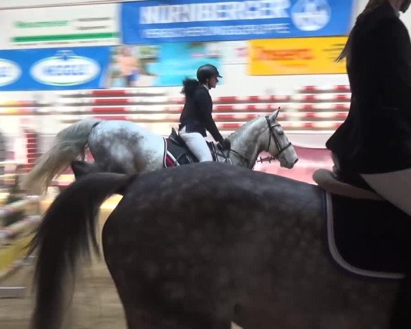Springturnier Eicherloh - Laurent 2016