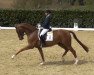 dressage horse Quick Nick 13 (Oldenburg, 2010, from Quaterback)