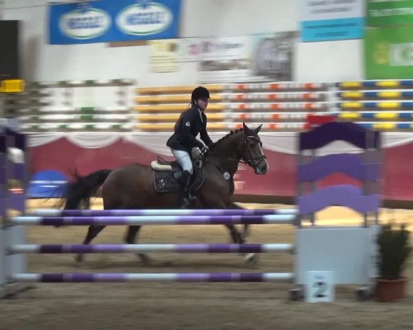 Springturnier Eicherloh - Laurent 2016