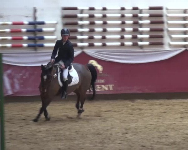 Springturnier Eicherloh - Laurent 2016