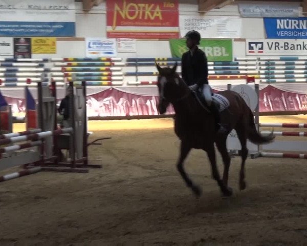Springturnier Eicherloh - Laurent 2016