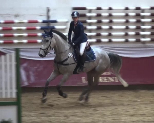 Springturnier Eicherloh - Laurent 2016