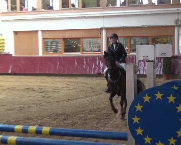 Springturnier Eicherloh - Laurent 2016