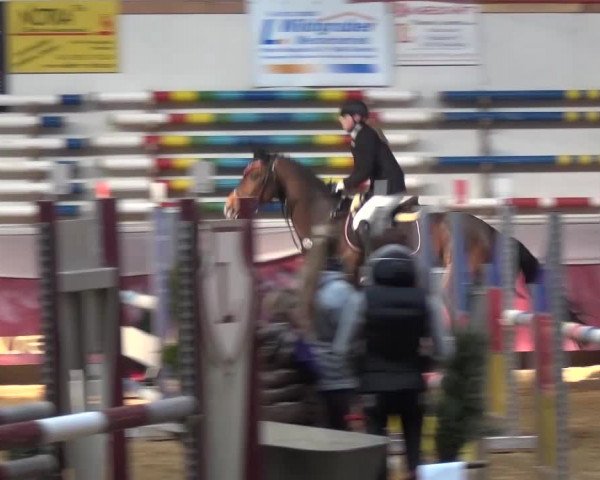 Springturnier Eicherloh - Laurent 2016
