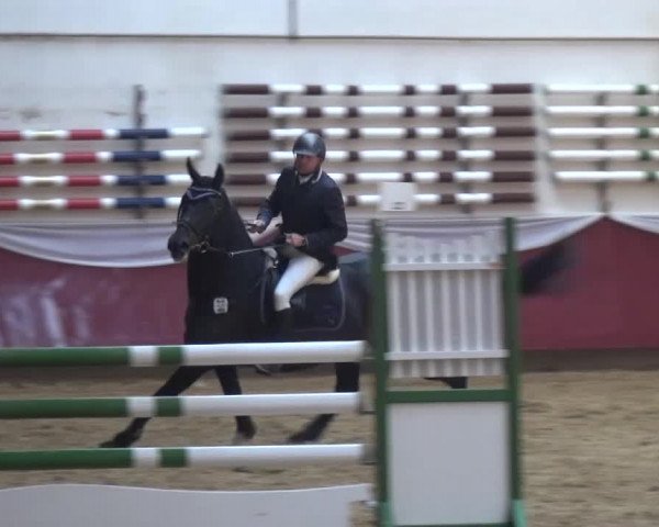 Springturnier Eicherloh - Laurent 2016