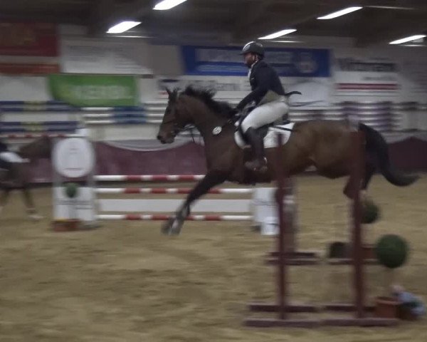 Springturnier Eicherloh - Laurent 2016