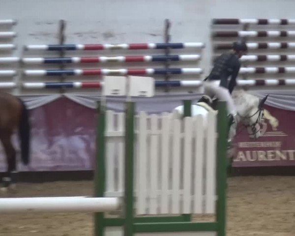 Springturnier Eicherloh - Laurent 2016