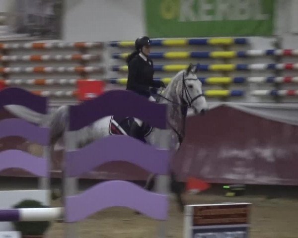 Springturnier Eicherloh - Laurent 2016