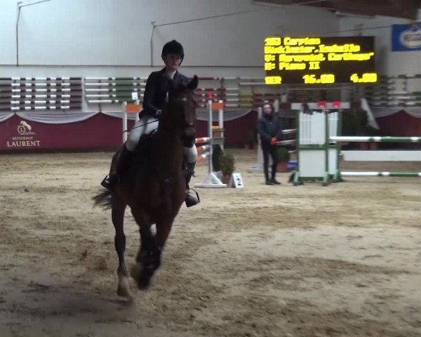 Springturnier Eicherloh - Laurent 2016