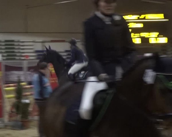Springturnier Eicherloh - Laurent 2016