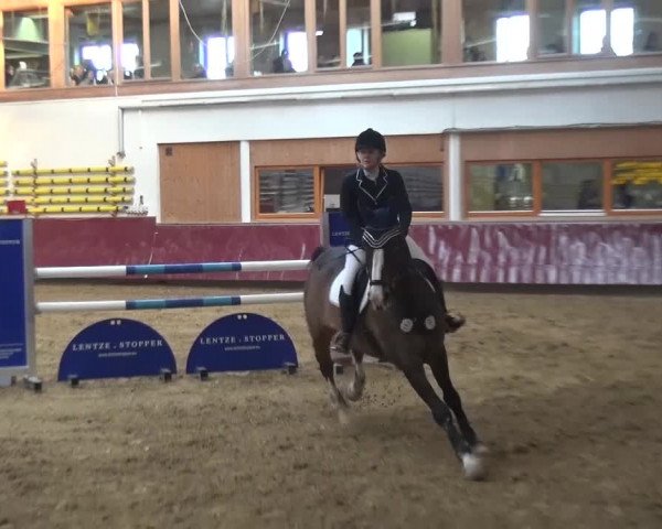 Springturnier Eicherloh - Laurent 2016