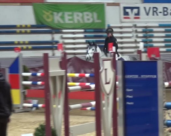 Springturnier Eicherloh - Laurent 2016