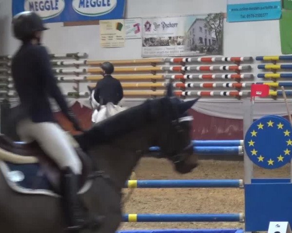 Springturnier Eicherloh - Laurent 2016